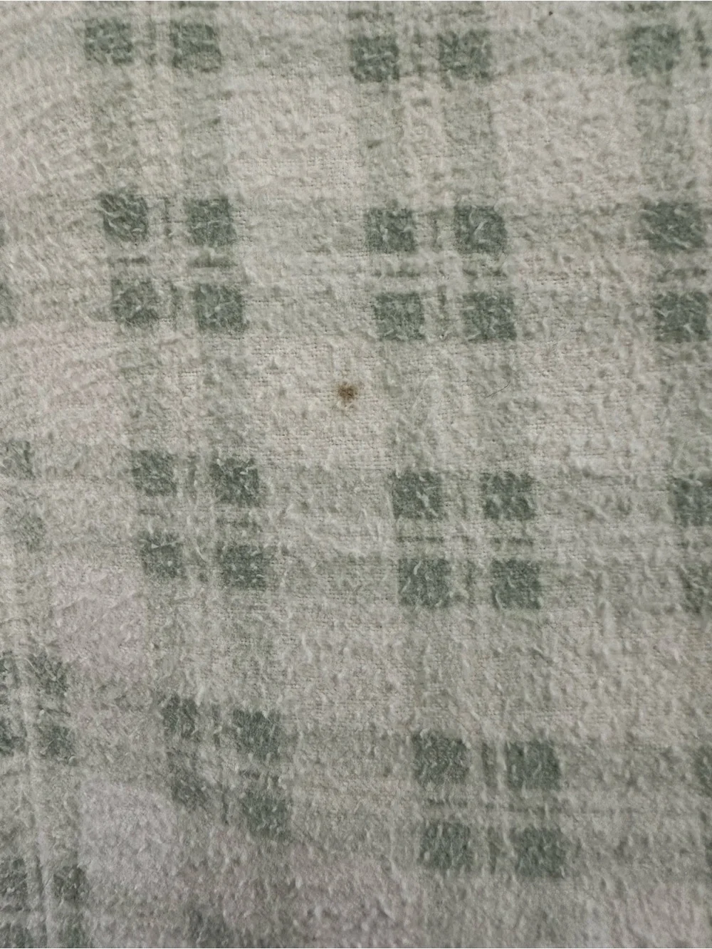 Laura Ashley Pale Green and White Plaid Cotton Bedding